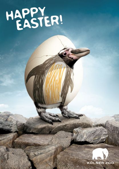Реклама: интересные факты и необычные примеры Zoo-cologne-happy-easter-eggs-penguin